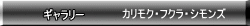 M[ 